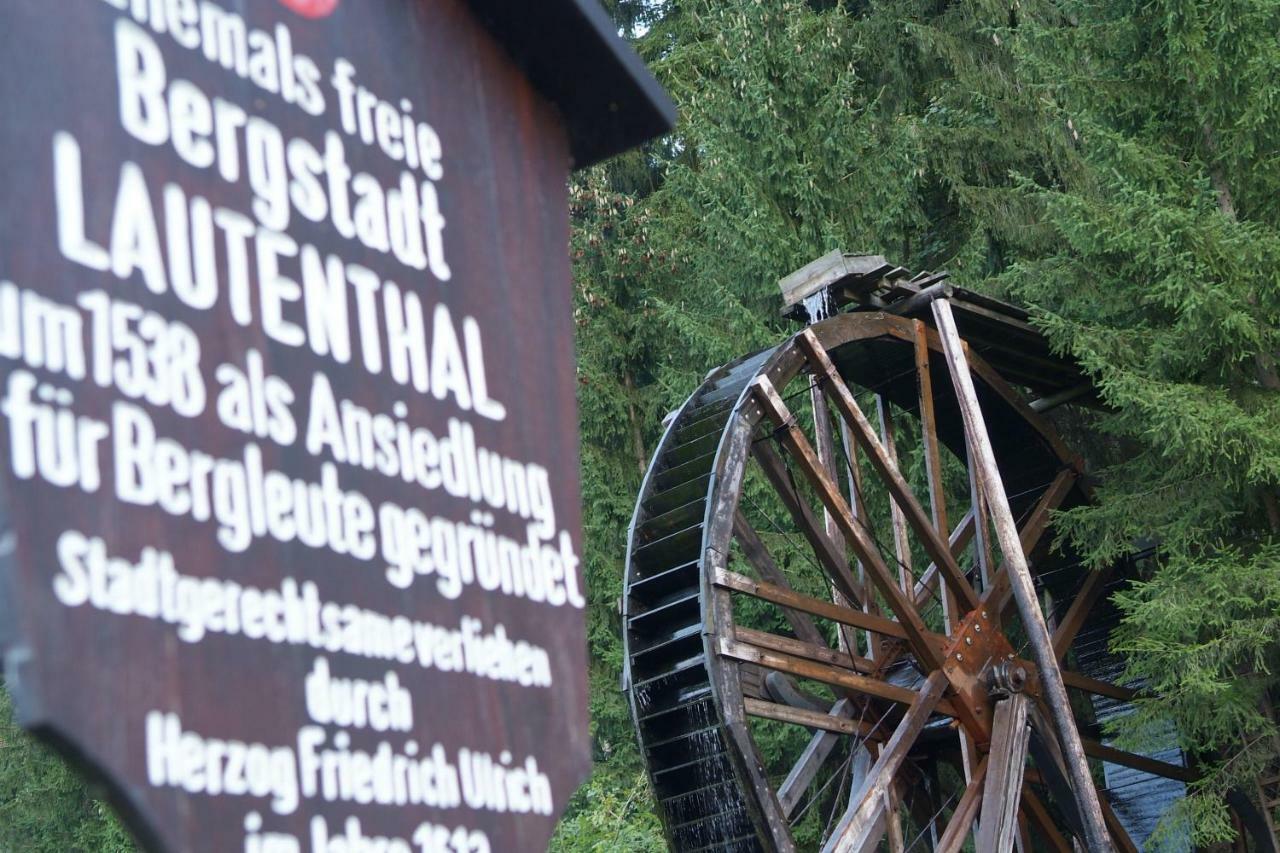 Ferienwohnung Harzblick Lautenthal ภายนอก รูปภาพ