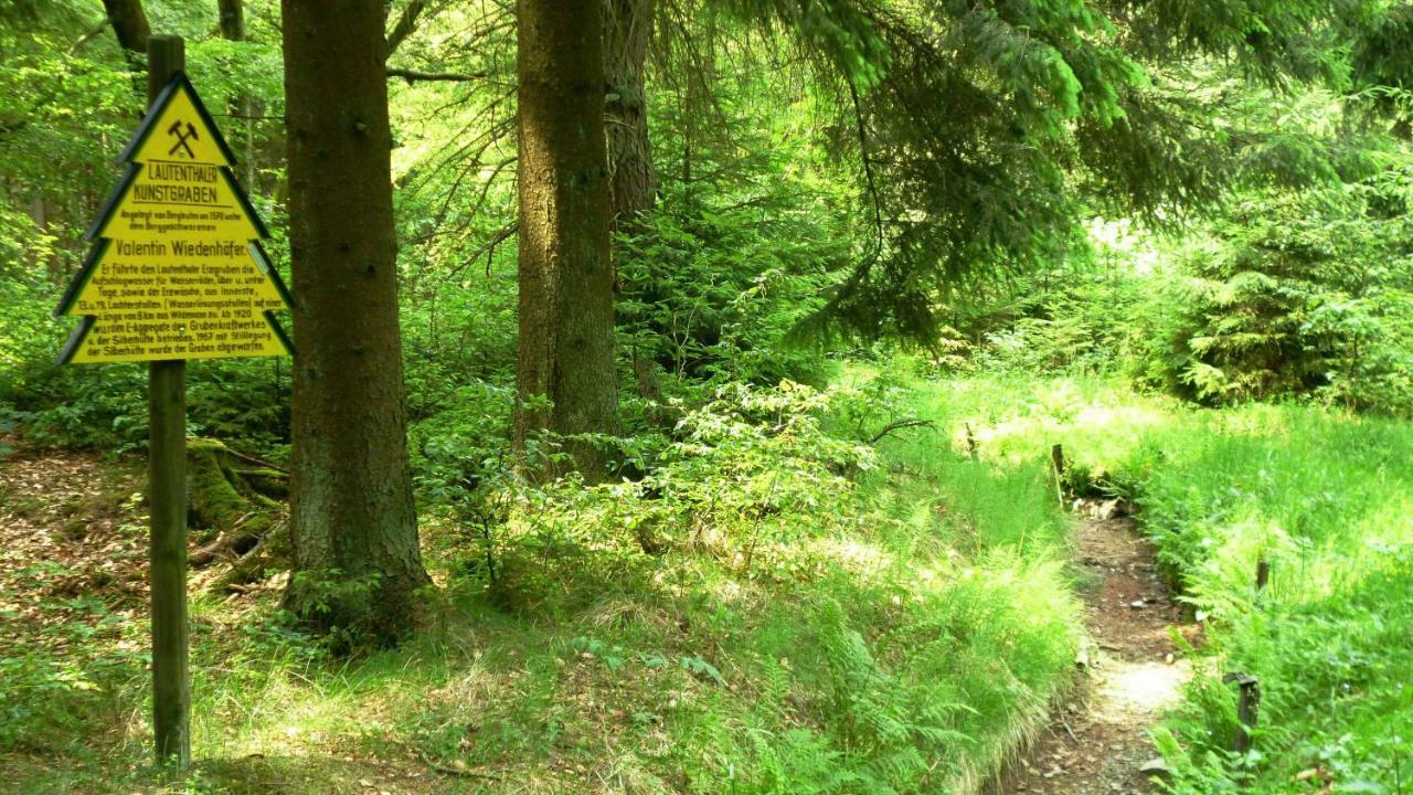 Ferienwohnung Harzblick Lautenthal ภายนอก รูปภาพ