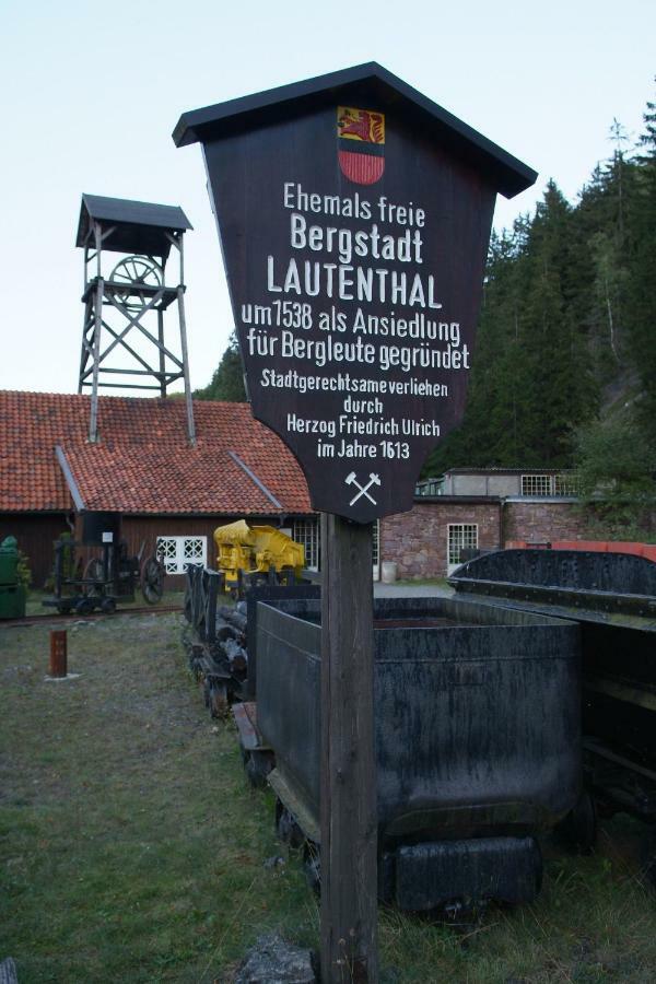 Ferienwohnung Harzblick Lautenthal ภายนอก รูปภาพ